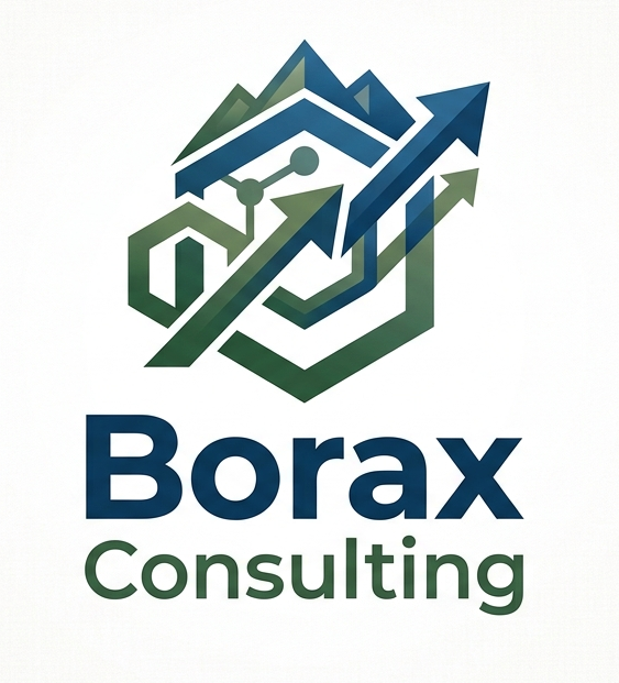 BORAX Logo