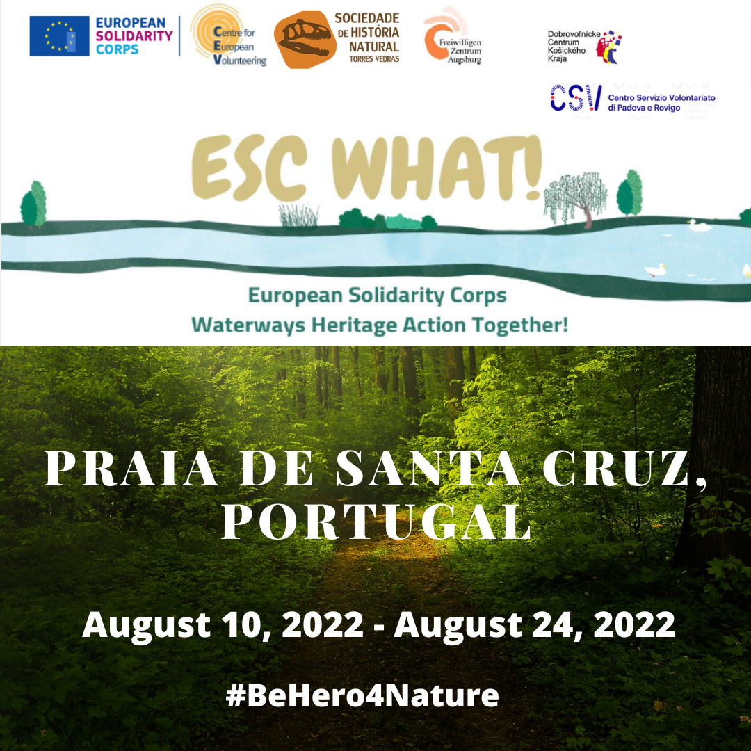 ESC Poster 6
