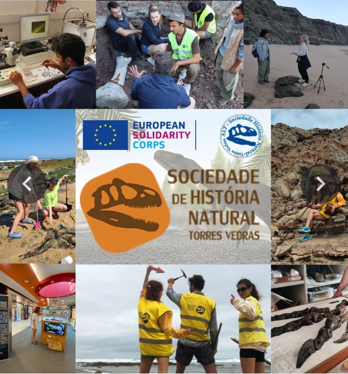 SHN Poster